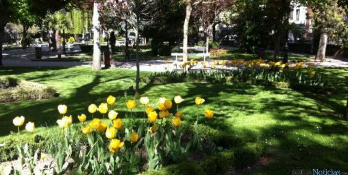 La Alameda de Cervantes