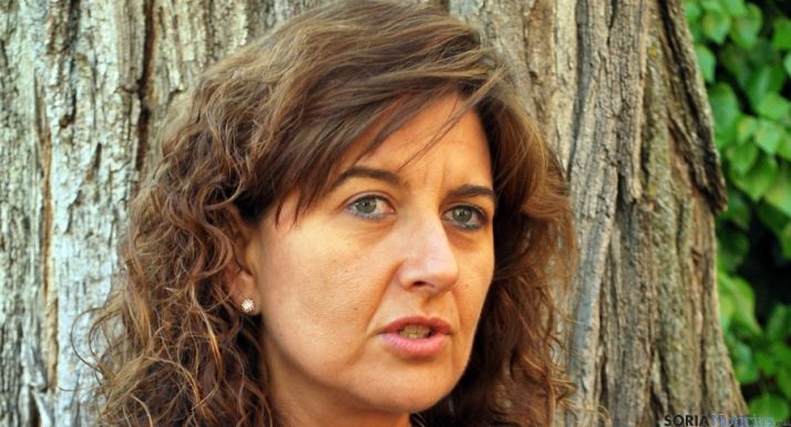 La viceconsejera de Empleo, Begoña Hernández. / SN
