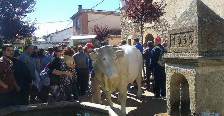 Una de las excursiones realizadas.