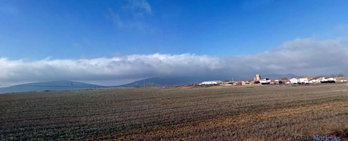 Campos de Hinojosa del Campo esta primavera. / SN