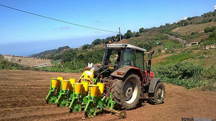 Las ayudas están en el BOE. 