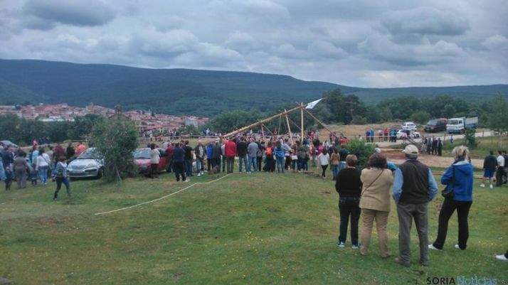 Pingada del pino mayo en Covaleda