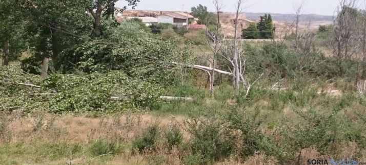 Tornado de Fuentelmonge