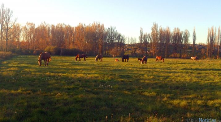 Acudir a Valonsadero siempre es un regalo.