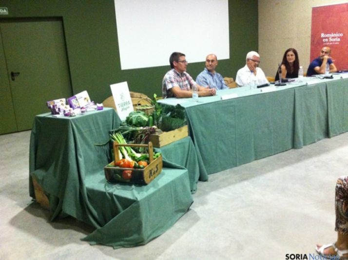 Diversos momentos de las jornadas