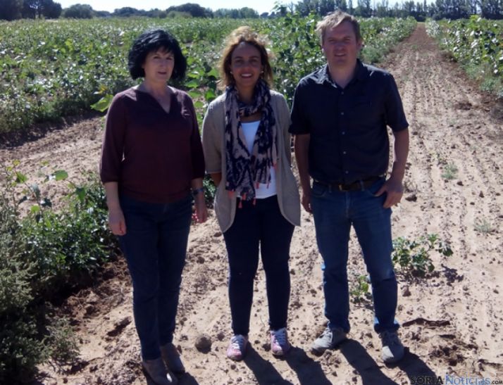 Representantes del proyecto