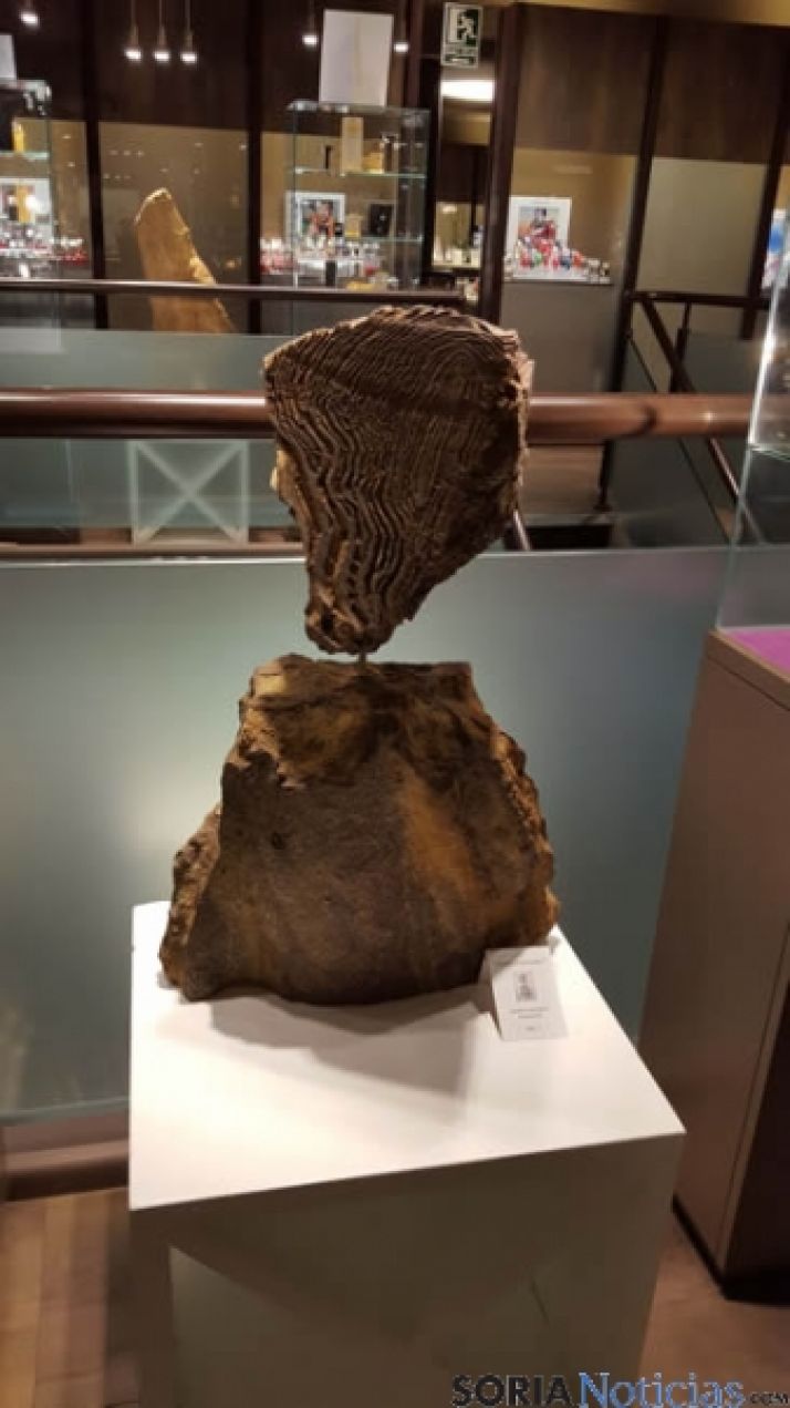 Obras expuestas en Monreal Tiendas Oro