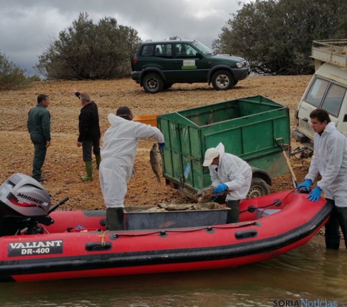 Embarcación de la CHD