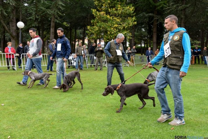 Proceso del concurso