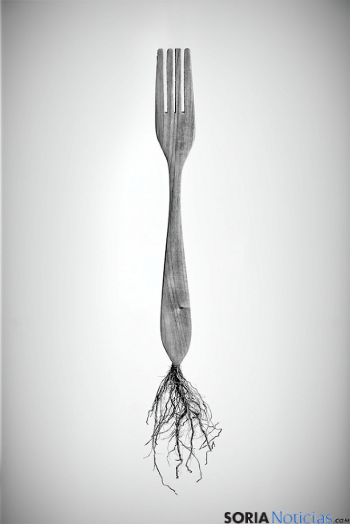 La tercera instantánea galardonada./FCCR