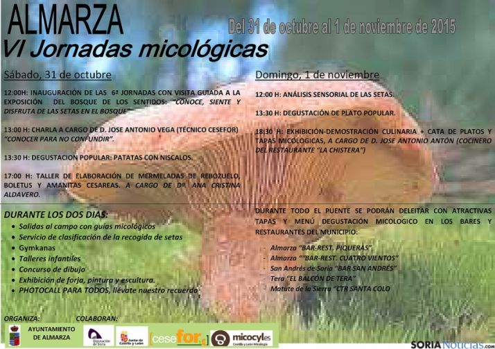 El cartel y programa de las jornadas.