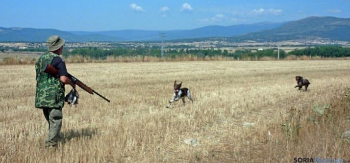 Un cazador soriano en la media veda. / SN
