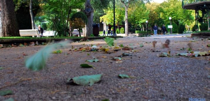 Hojas este otoño en la Dehesa./SN