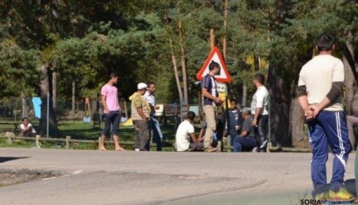 Regulación setas 2015