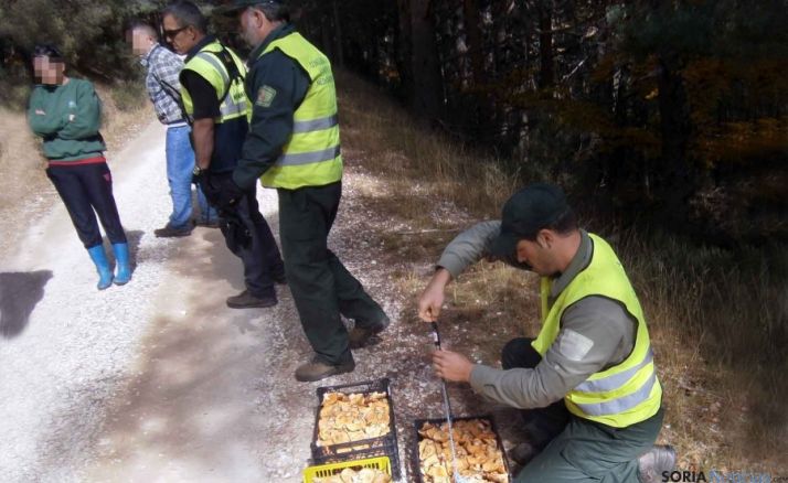 Uno de los decomisos realizados el pasado viernes en El Royo./Jta