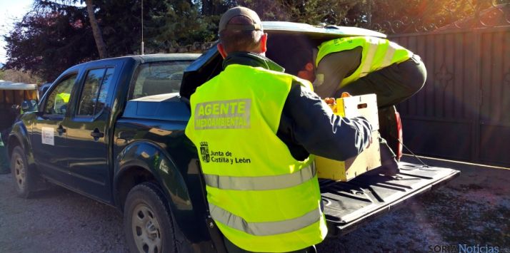 Agentes medioambientales en un decomiso de setas./Jta.