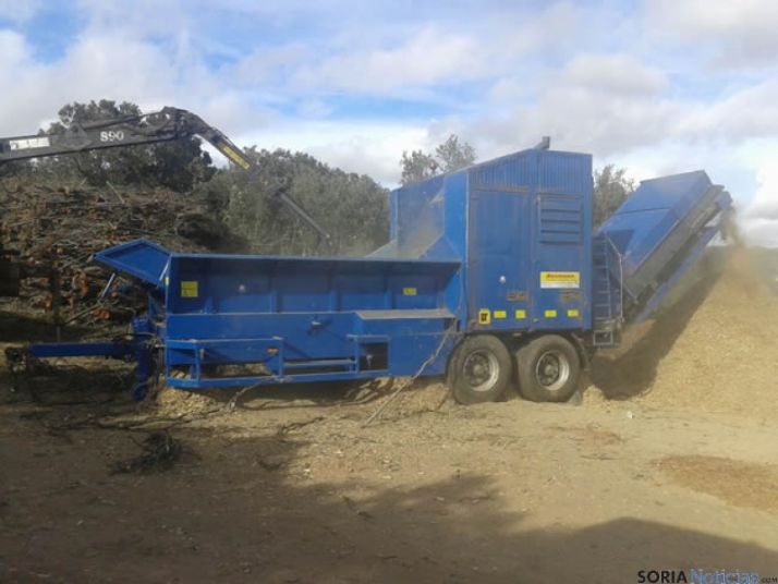 Trabajos de extracción de Amatex