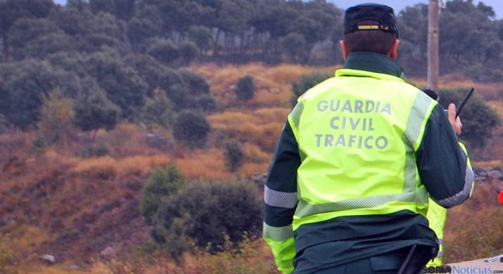 Un agente de Tráfico en una carretera soriana. / SN