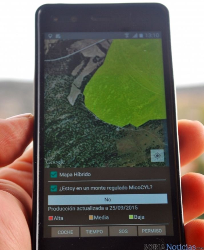 Setas y nuevas tecnologías, buena alianza./SN 
