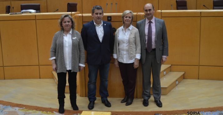 Cadidatos socialistas de Soria al Congreso y Senado