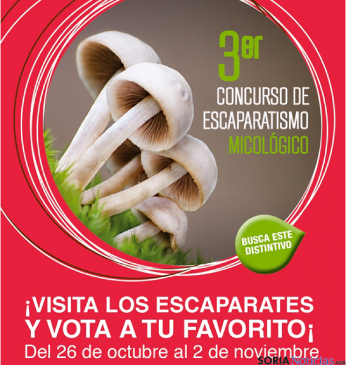 Escaparatismo micológico