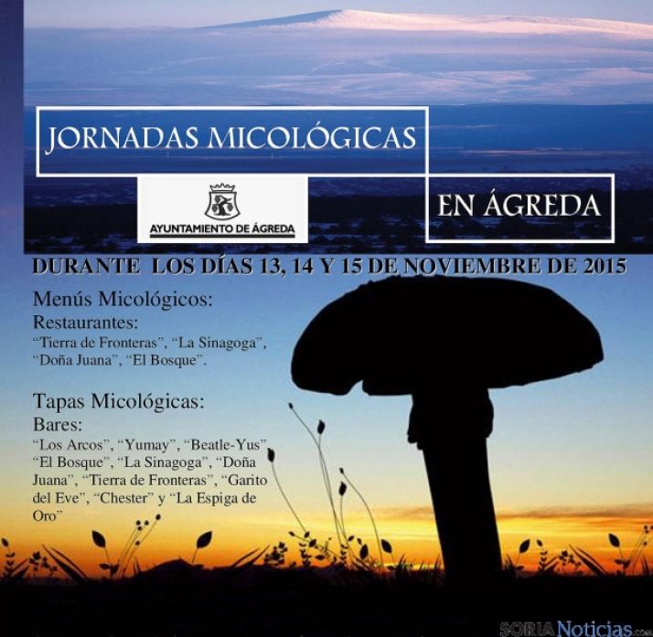 La micología, protagonista en Ágreda.
