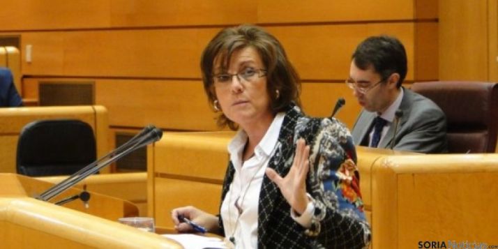 Angulo, en sede parlamentaria./SN