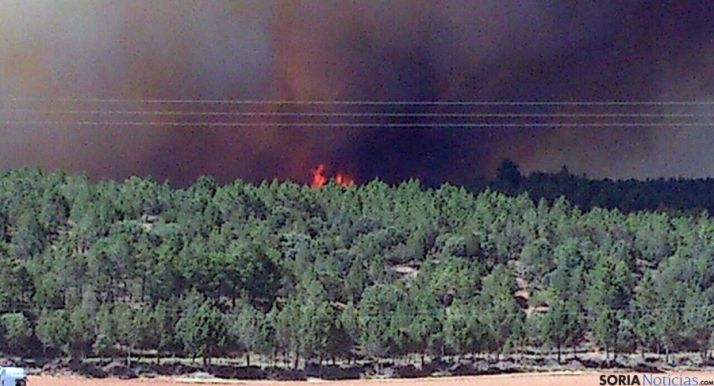 Imagen de archivo del incendio en Barcebalejo. / SN