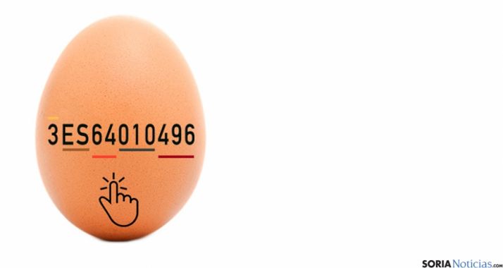 Huevo con su perceptivo código impreso.