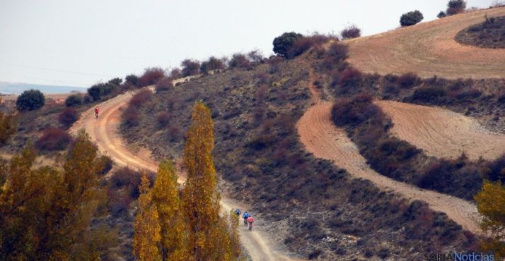 El camino a su paso por Fuentes de Ágreda.