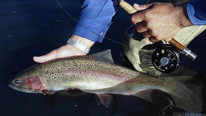 Cerrará el 31 de julio. / SN