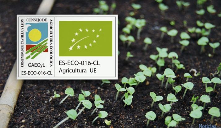 Se abordarán las oportunidades del sector