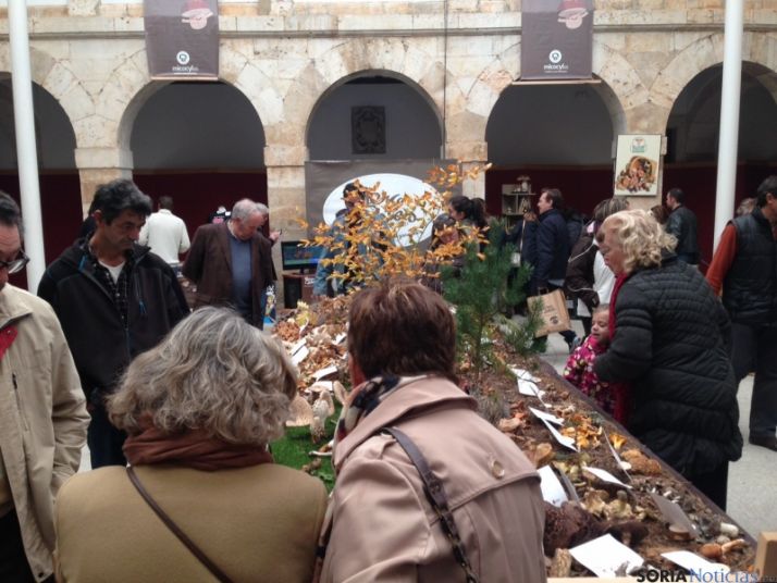 Exposición micológica