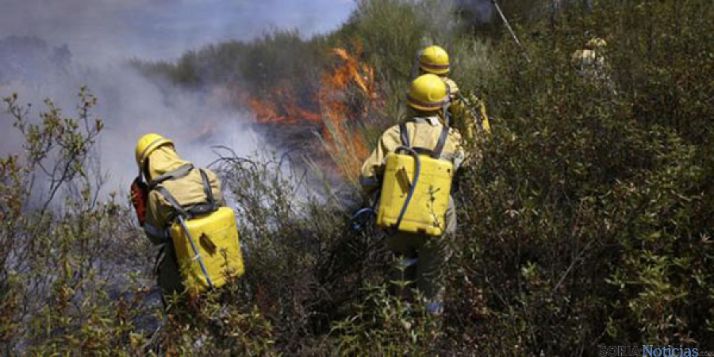El objetivo es prevenir los incendios forestales.