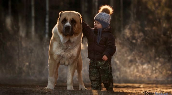 Los niños creen que los animales no son juguetes.