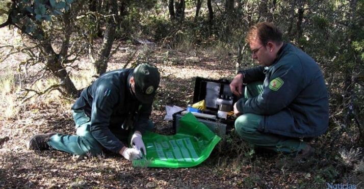 Agentes medioambientales de la Junta.