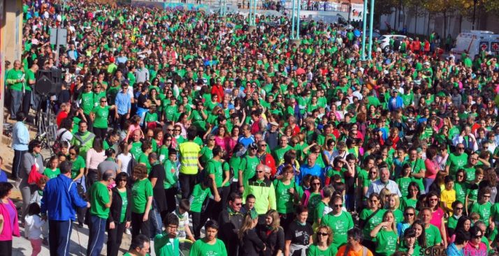 La marea verde del III Camino contra el Cáncer en Soria. / SN