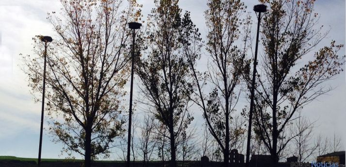 Nidos artificiales para estas zancudas instalados por Medio Ambiente. / Jta.