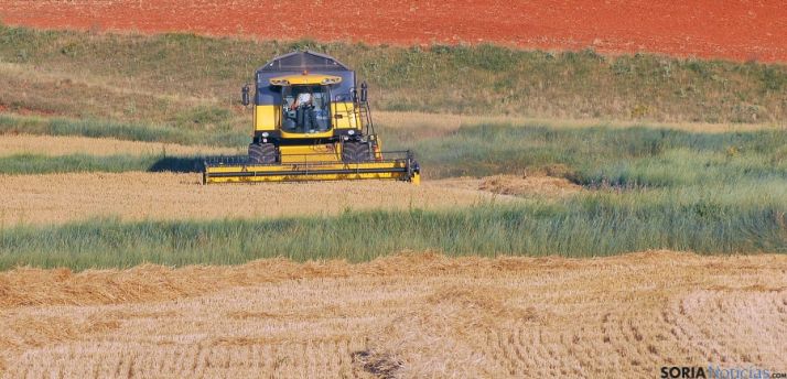 Una cosechadora faenando en un campo de la provincia. / SN