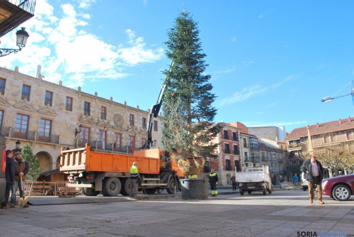 La descarga del abeto. / SN
