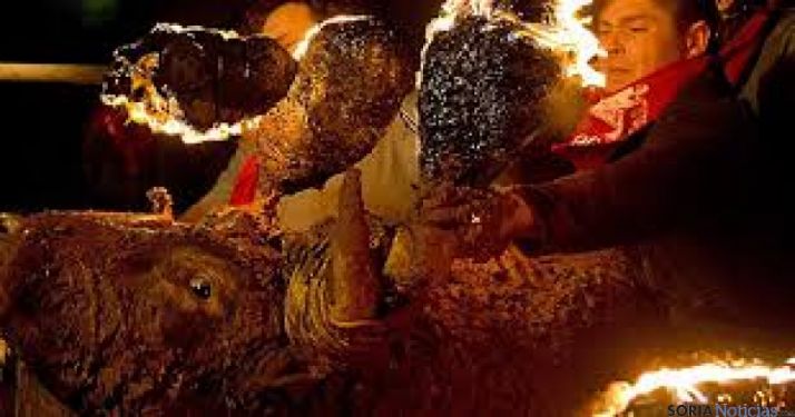 Una imagen del festejo taurino de Medinaceli. / SN