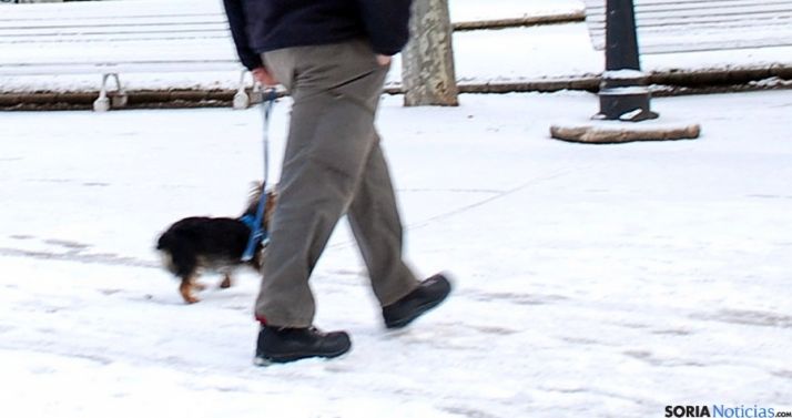 Un perro con su dueño el pasado invierno./SN