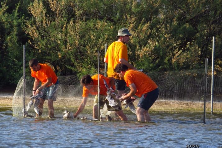 Más de cuatro mil voluntarios han participado desde 2011.