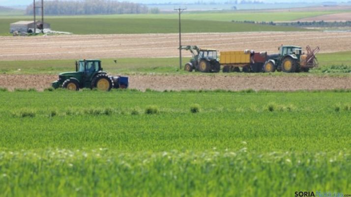 Los profesionales del campo tendrán que rellenar la nueva PAC 2016.