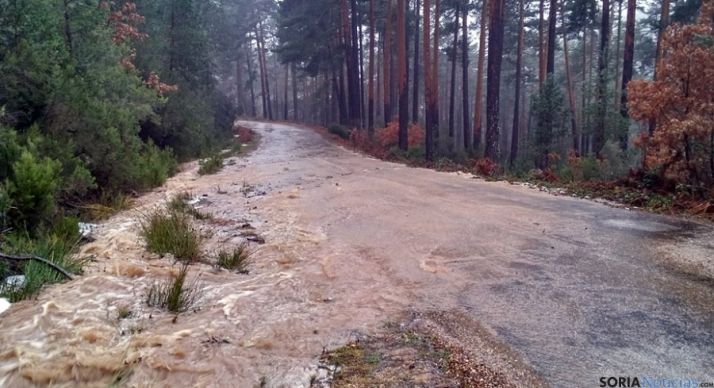 Pista forestal en Pinares hoy jueves./AS