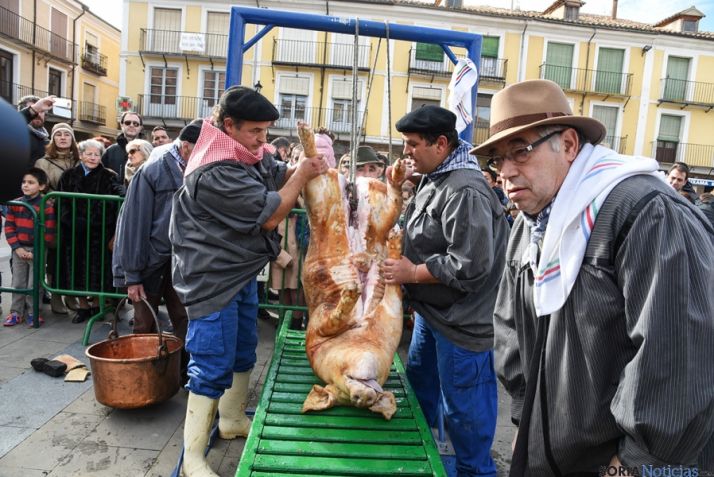 El sacrificio del gorrino este domingo en El Burgo. / SN