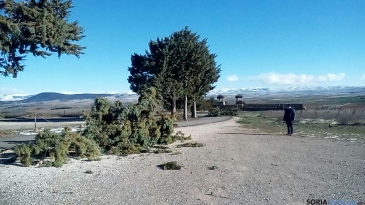 La caída de los árboles ha provocado el cierre de Numancia.