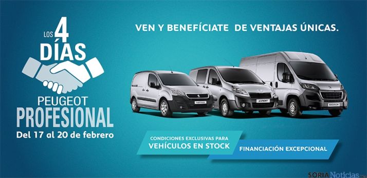 Mateogrupo Área empresas