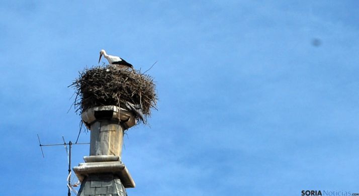 Nido de cigüeña en la calle Alberca, retirado el año pasado. / SN