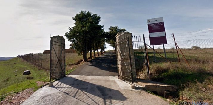 La carretera de acceso al yacimiento.